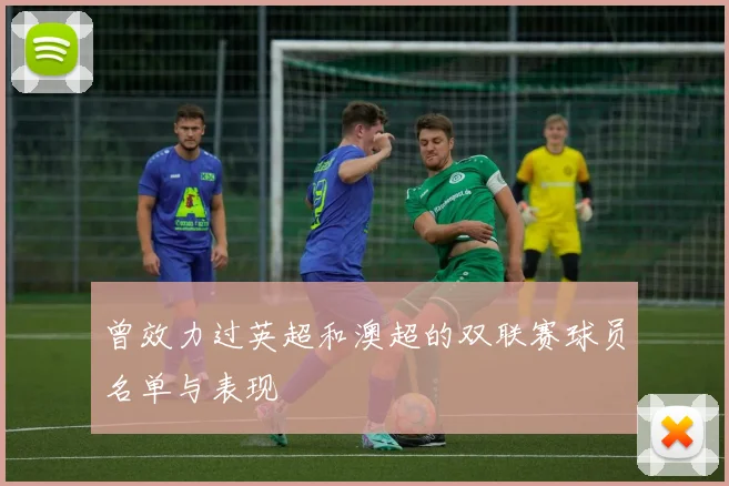 曾效力过英超和澳超的双联赛球员名单与表现