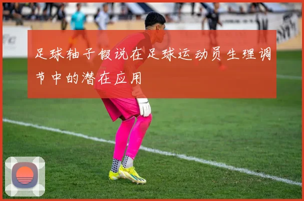 足球轴子假说在足球运动员生理调节中的潜在应用
