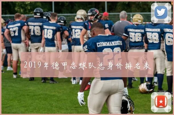 2019年德甲各球队总身价排名表