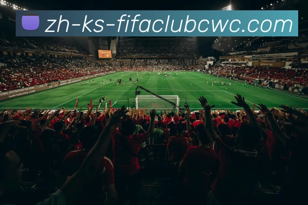 多媒体互动体验