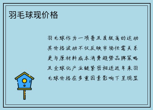 羽毛球现价格